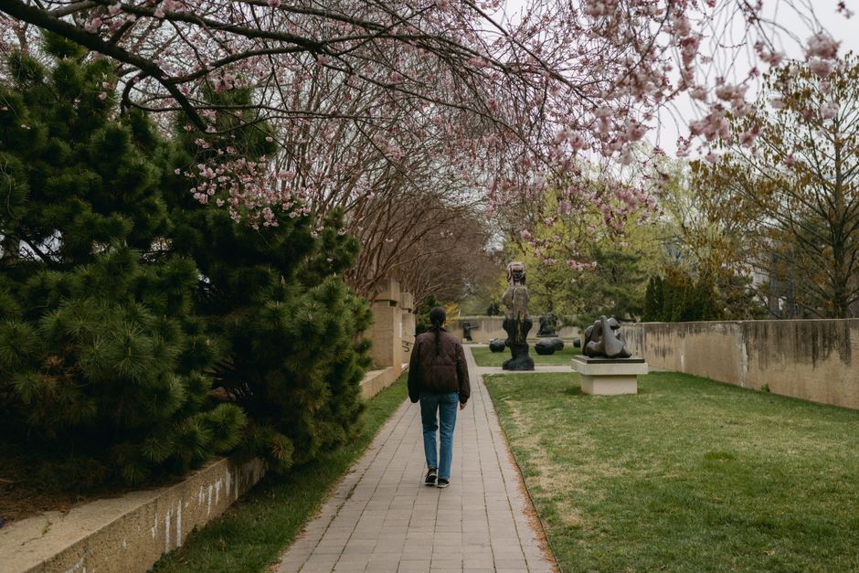 The 10-Minute Walk After Meals: The Simplest Health Habit You're Not Using