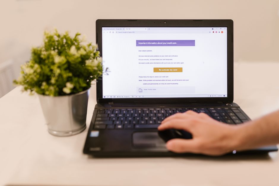 The Local Newsletter Business: How a Small Email List Becomes Real Income