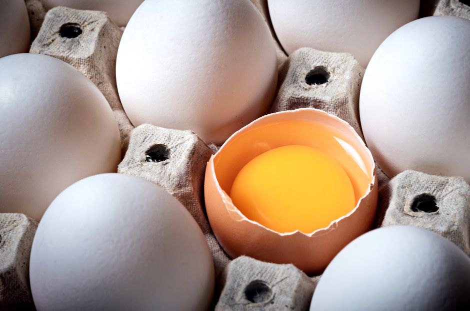 How Much Protein Do You Actually Need? A Simple, Honest Guide
